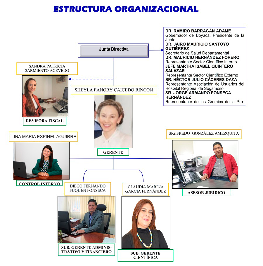 estructura organizacional